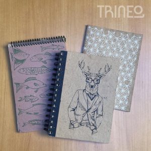 CUADERNOS ILUSTRADOS