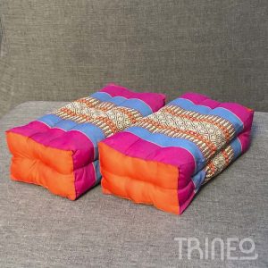 ALMOHADONES ASIA FUCSIA Y NARANJA TENEMOS 2 (30CM X 20CM)