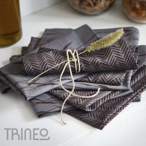 SERVILLETAS TRIGO TENEMOS 4 (40CM X 40CM)