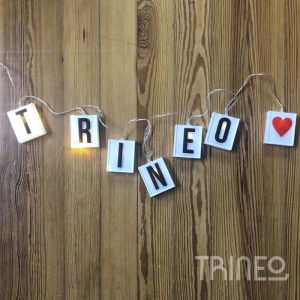 GUIRNALDA LETRAS INTERCAMBIABLES (48 LUCES/LETRAS)