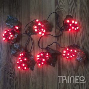 GUIRNALDAS ROJAS RAMOS TENEMO 2 (2M LARGO)