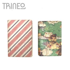 LIBROS FORRADOS VINTAGE