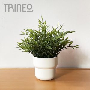 Planta (23cm alto total) Maceta negra plástico Opción maceta blanca