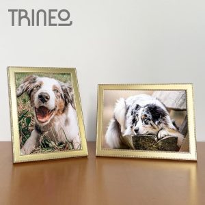 PORTARRETRATOS DORADOS  X 2 (PARA FOTOS 15CM X 20CM)