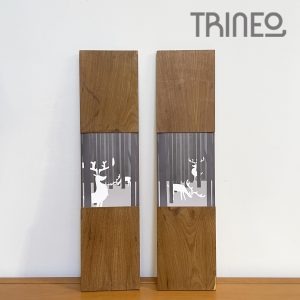 CUADROS X 2 - DISEÑO DIGITAL TATI GUSSO (13CM X 54CM)