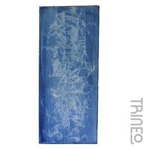 OBRA SIN TÍTULO - CIANOPITIA SOBRE TELA - ARTISTA LUCIO GORZZA (30CM X 70CM)