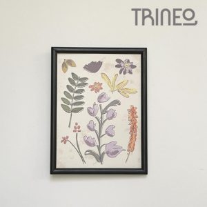 Cuadro BOTÁNICA II - Diseño Digital TATI GUSSO - (20cm x 27cm)