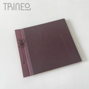 ALBUM DE FOTOS  (24cm alto)