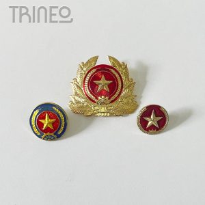 PINS VIETNAM
