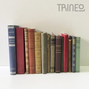 LOTE LIBROS ANTIGUOS X 14