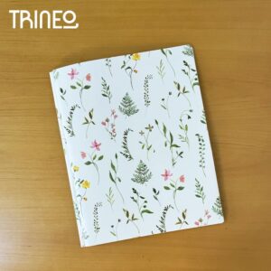 CARPETA