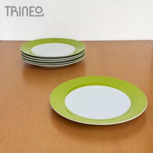 PLATOS GUARDA VERDE PLAYOS - TENEMOS 6 (27CM DIÁMETRO)