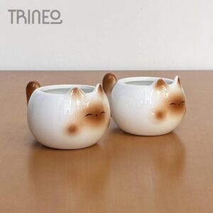 TACITAS GATITOS