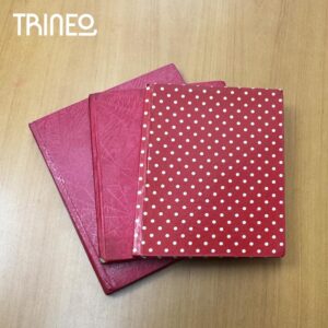 CUADERNOS ESCOLARES X 3