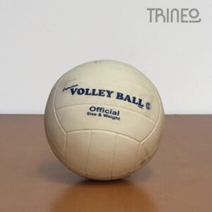 PELOTA VOLLEY