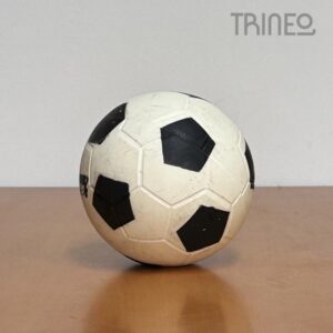PELOTA GOMA