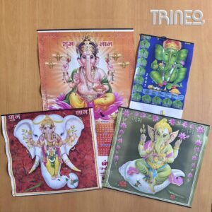 SET INDIA PARED X 4